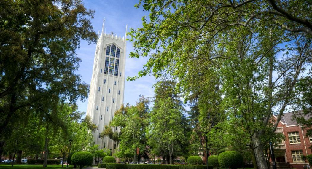 Burns Tower from Knoles Lawn