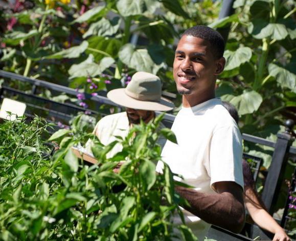 student picking vegetables